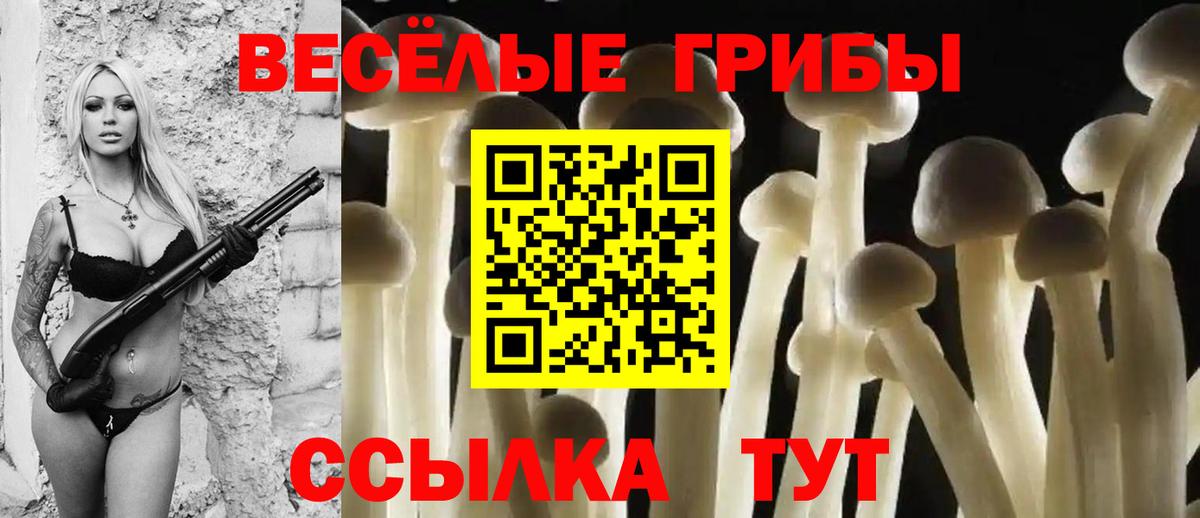 Галлюциногенные грибы Cubensis Шарыпово